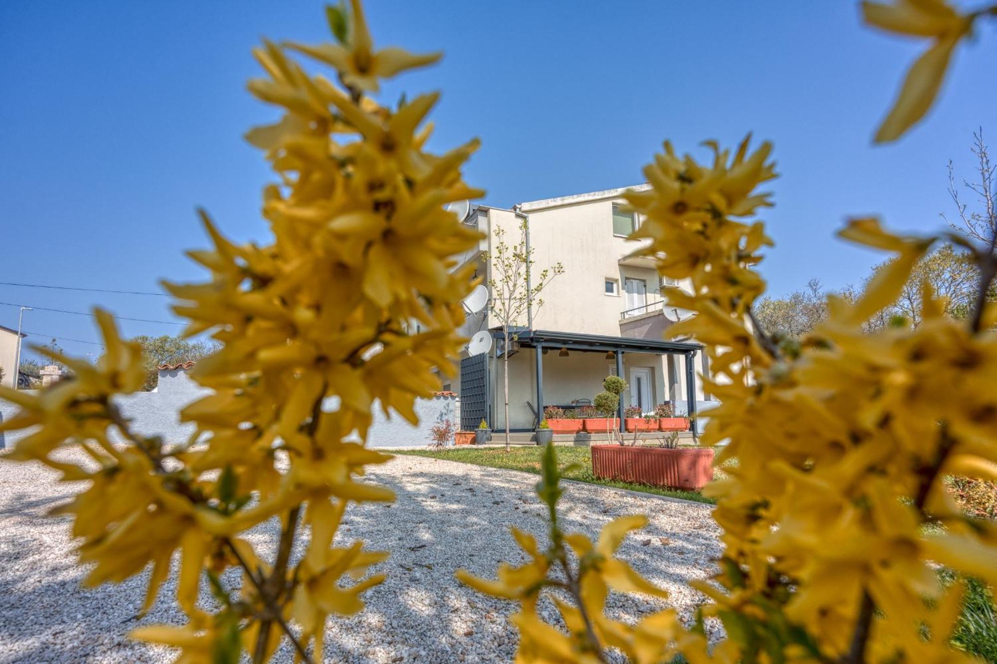 Petricija With Garden Apartment Poreč
